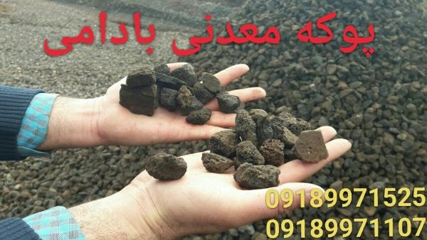 نمایندگی های فروش پوکه معدنی قروه در شهرستان ها | بروز رسانی یکشنبه, 09 ارديبهشت 1403